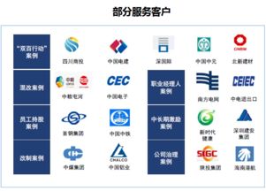 雙百行動(dòng)咨詢服務(wù)產(chǎn)品手冊(cè) 賦能國(guó)企改革，驅(qū)動(dòng)價(jià)值提升